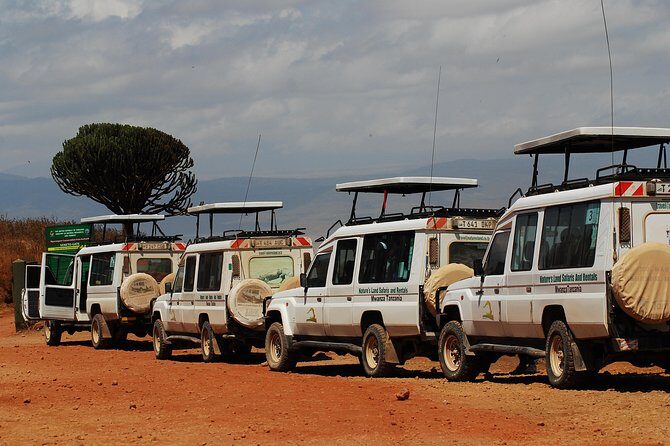 2 Day Serengeti Safari Experience from Mwanza - Key Points