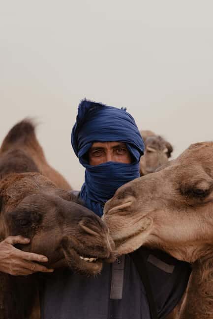 2-Day Shared Group Tour from Fes to the Desert - Key Points