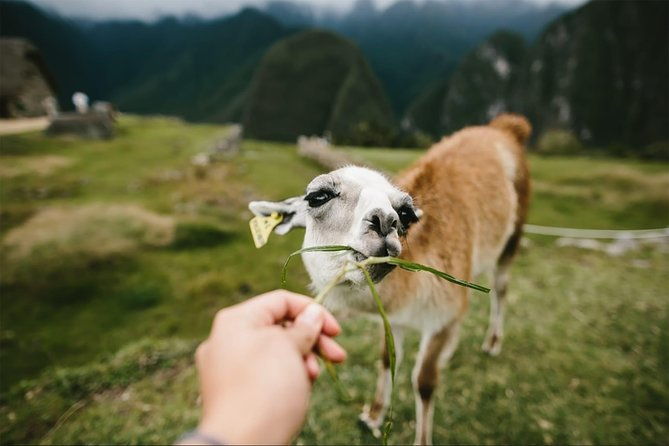 2-day-short-inca-trail-to-machu-picchu