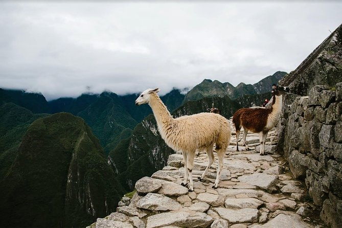 2-day-short-inca-trail-to-machu-picchu