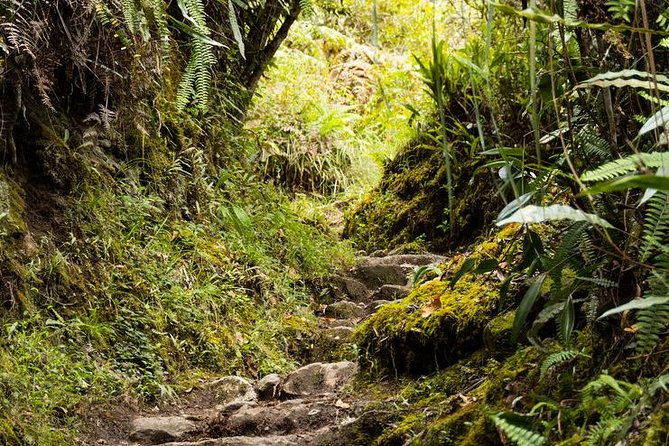 2-day-short-inca-trail-to-machu-picchu-group-service