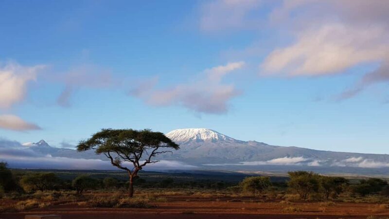 2-Day Short Mount Kilimanjaro Trek - The Marangu Route: An Ideal Short Trek Choice