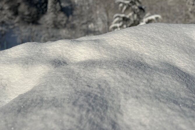 2-day-ski-snowboard-tour-with-rentals