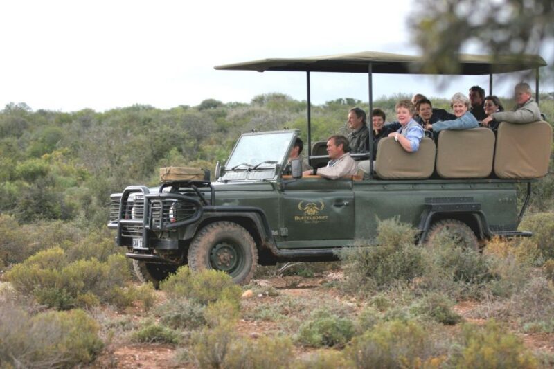 2 Day Small Group Cape Town: Garden Route Big 5 Safari Tour - Final Thoughts