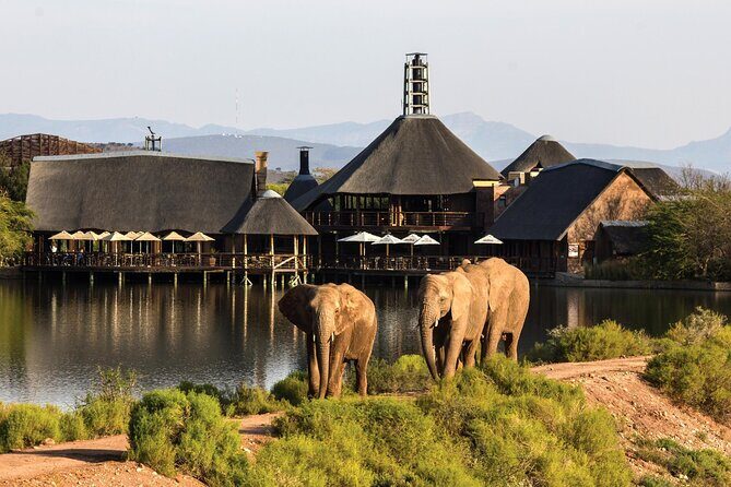 2 Day Small Group Garden Route Big 5 Safari Tour from Cape Town - Key Points