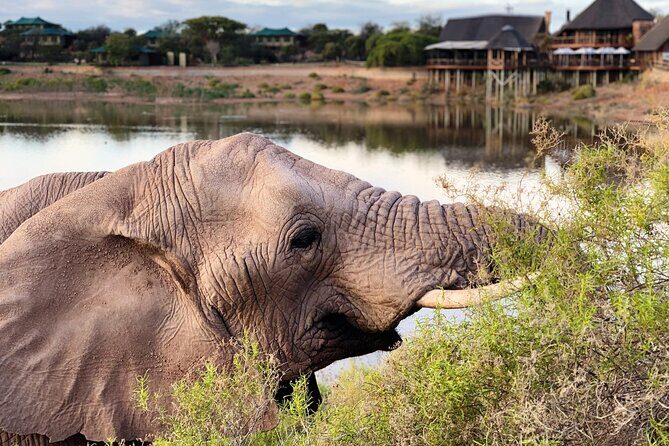 2 Day Small Group Garden Route Big 5 Safari Tour from Cape Town - FAQ