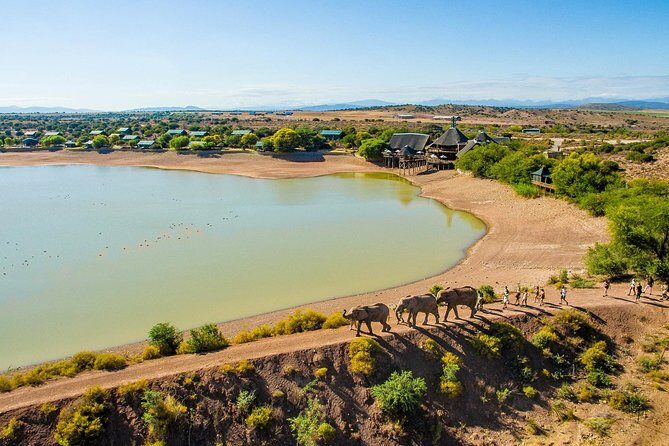 2 Day South African Wildlife Tour with 4x4 Safari from Cape Town - An In-Depth Look at the Itinerary