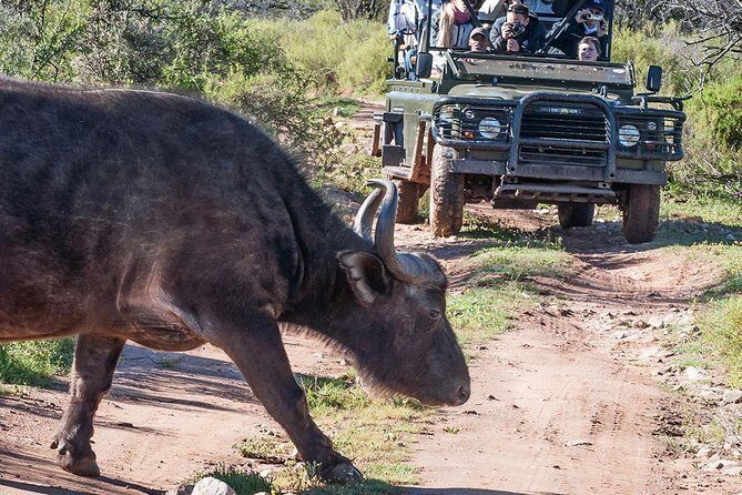 2 Day South African Wildlife Tour with 4x4 Safari from Cape Town - What Makes This Tour a Great Value?
