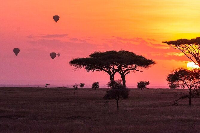 2-Day Sublime Safari to Tarangire and Ngorongoro Safari - The Itinerary Breakdown: What to Expect
