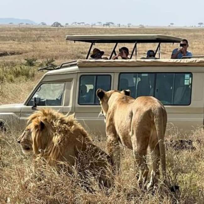 2-Day Tarangire & Ngorongoro Crater Safari from Zanzibar - Practical Considerations