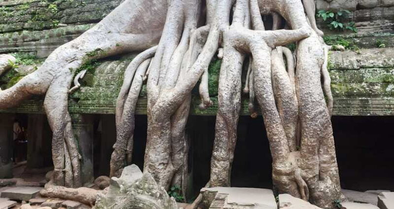 2-Day Temple private Tours, Lunch included - FAQ