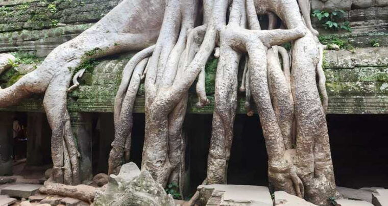 2-day-temple-private-tours