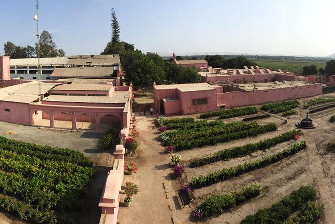 2-day-the-wine-and-pisco-route-in-paracas-from-lima