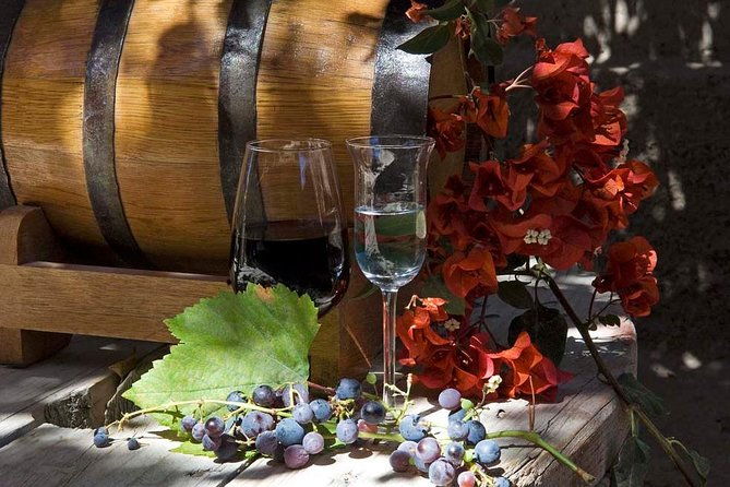 2-day-the-wine-and-pisco-route-in-paracas-from-lima