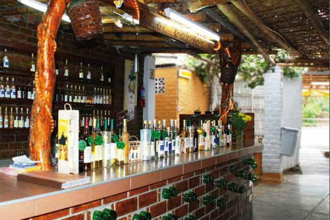 2-day-the-wine-and-pisco-route-in-paracas-from-lima