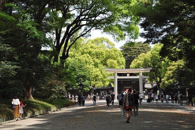 2-day-tokyo-fuji-private-tour-by-premium-car