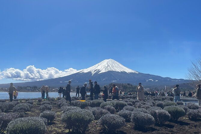 2-day-tokyo-mt-fuji-hakone-odawara-castle-kamakura-onsen-ryokan