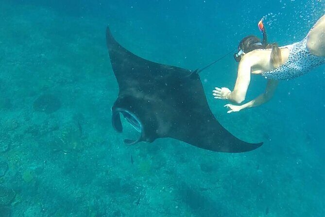 2 day tour and snorkel to meet Manta Rays in Nusa Penida - Key Points
