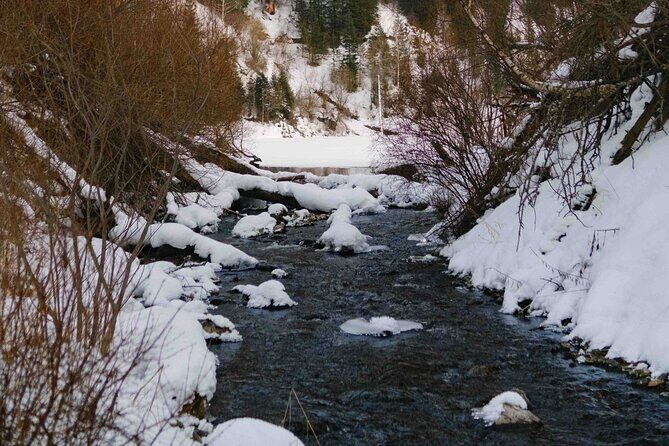 2 Day Tour Explore Charyn Canyons Kolsay and Kaindy Lake - Introduction: Discover Kazakhstan’s Natural Gems in Just Two Days