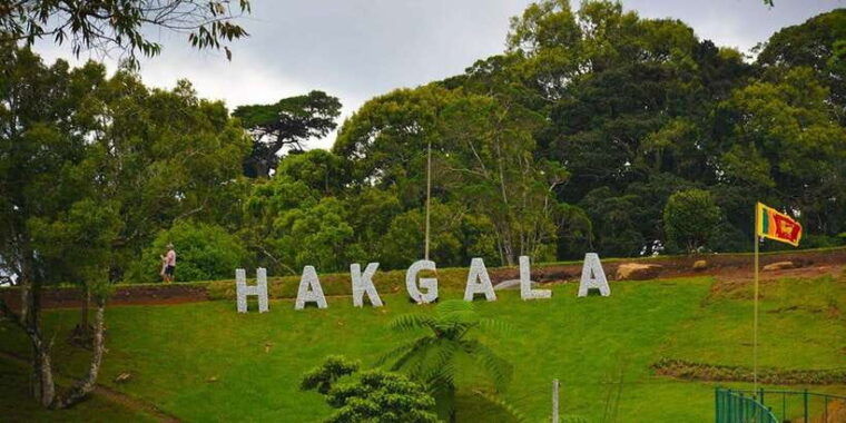2-day-tour-from-kandy-sigiriya-nuwara-eliya