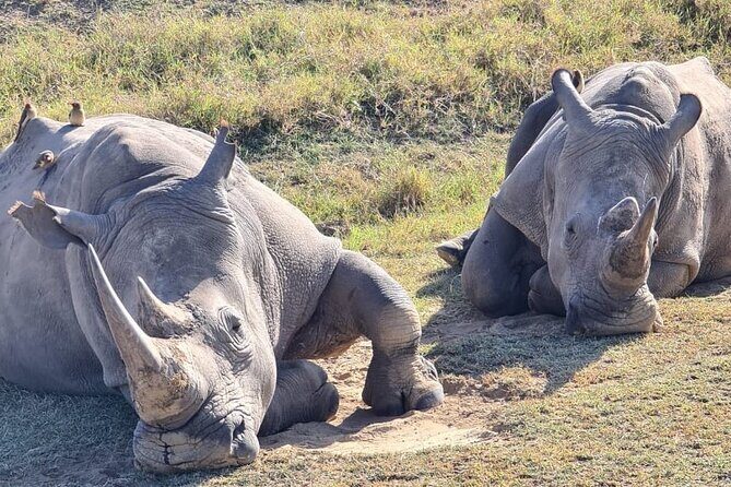 2 Day Tour Hells Gate, Lake Naivasha & Lake Nakuru from Nairobi - FAQ