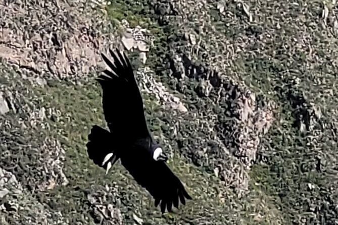 2-day-tour-in-colca-valley