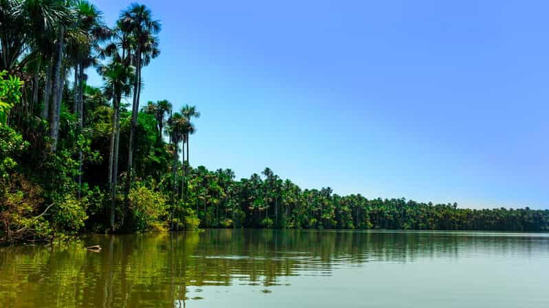 2-day-tour-in-tambopata-amazon