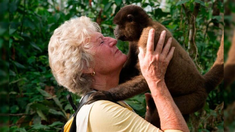 2-day-tour-in-tambopata-amazon
