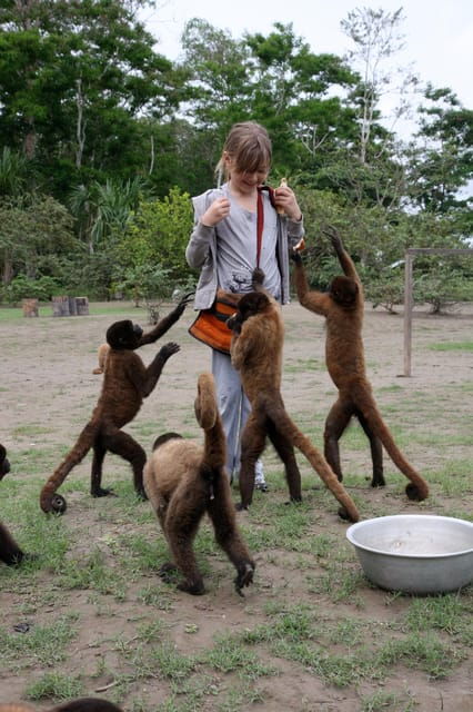 2-day-tour-in-tambopata-amazon