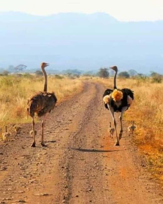 2 Day Tour Lake Nakuru, Hell' s Gate & Lake Naivasha - Introduction