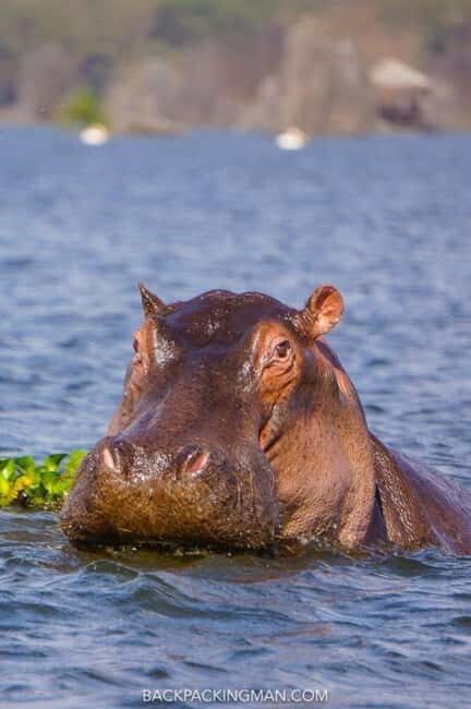 2 Day Tour Lake Nakuru, Hell' s Gate & Lake Naivasha - Key Points