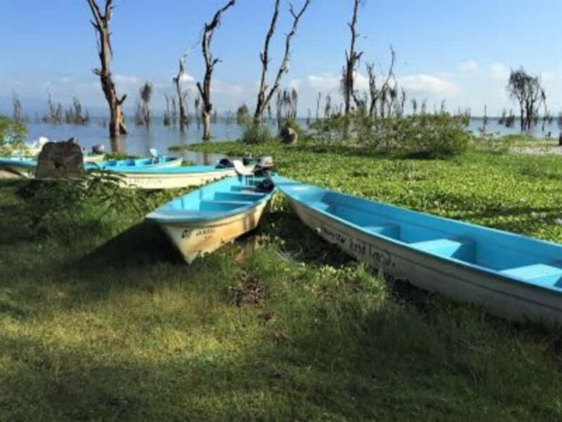 2 Day Tour Lake Nakuru, Hell' s Gate & Lake Naivasha - FAQs