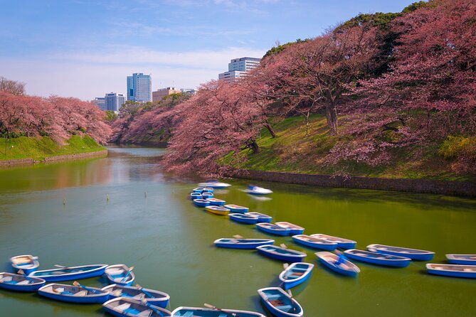 2-day-tour-mt-fuji-and-tokyo-private-wagon-english-driver