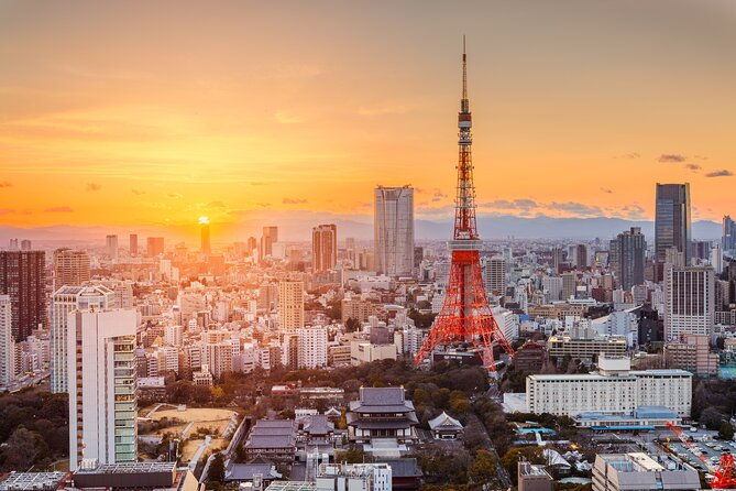 2-day-tour-mt-fuji-and-tokyo-private-wagon-english-driver