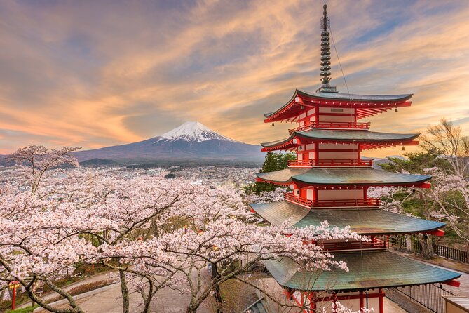 2-day-tour-mt-fuji-and-tokyo-private-wagon-english-driver