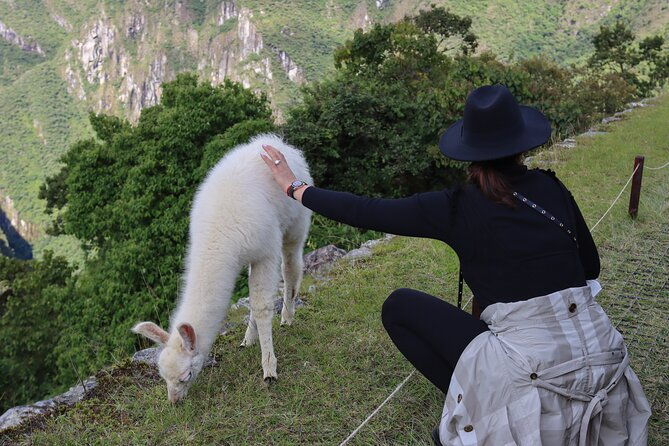 2-day-tour-of-the-sacred-valley-and-machu-picchu-by-train
