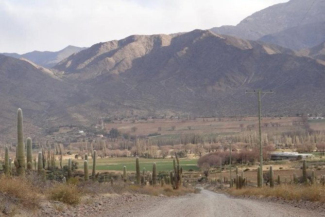 2-day-tour-to-algarrobal-los-colorados-and-la-poma-from-cachi