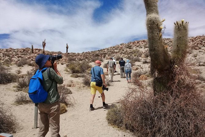 2-day-tour-to-algarrobal-los-colorados-and-la-poma-from-cachi