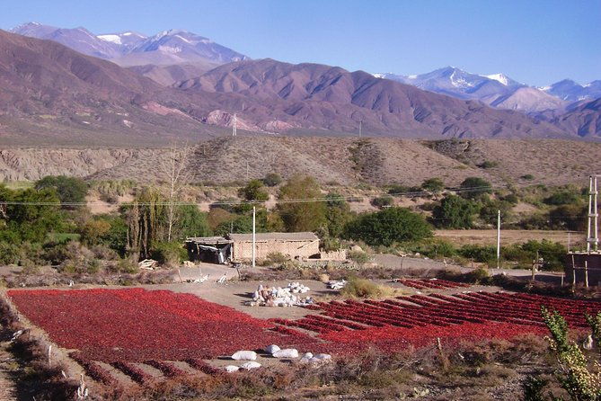 2-day-tour-to-algarrobal-los-colorados-and-la-poma-from-cachi