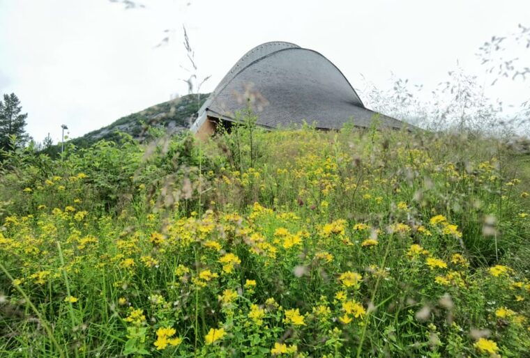 2-day-tour-to-hardangerfjord-flam-naeroyfjord-voringsfossen