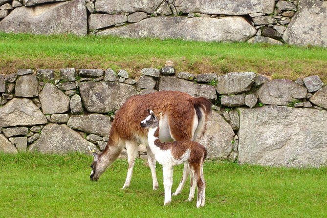 2-day-tour-to-machu-picchu-from-cusco-group-service