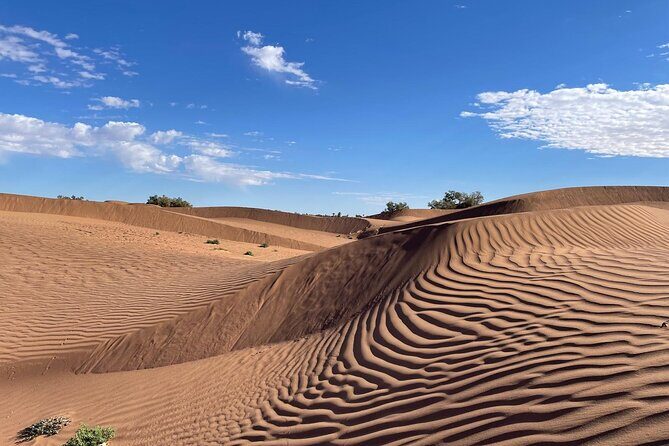 2-day trek - In the footsteps of beetles - Key Points