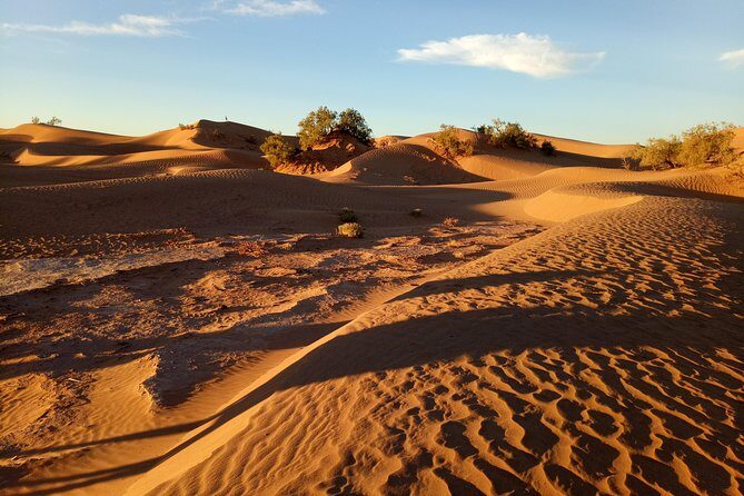 2-day trek - In the footsteps of beetles - Who Should Consider This Tour?