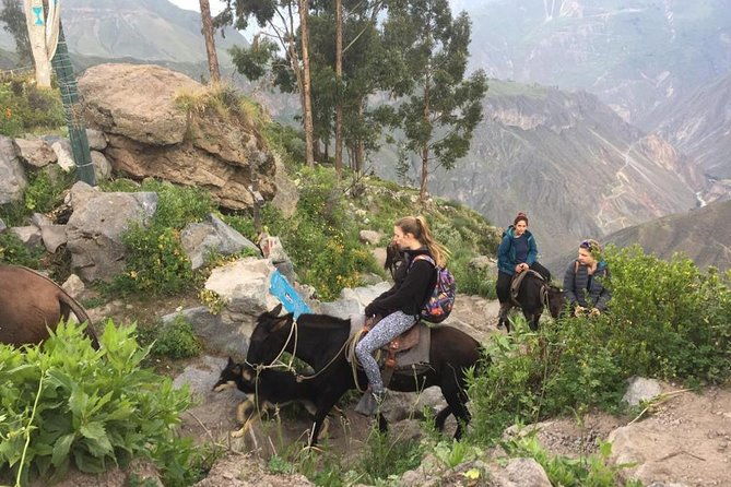 2-day-trek-including-transfer-to-puno-colca-canyon