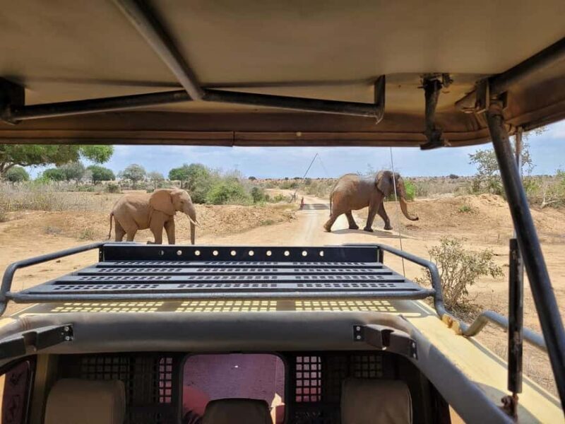 2-day Tsavo East safari with accommodation from Mombasa: - The Sum Up