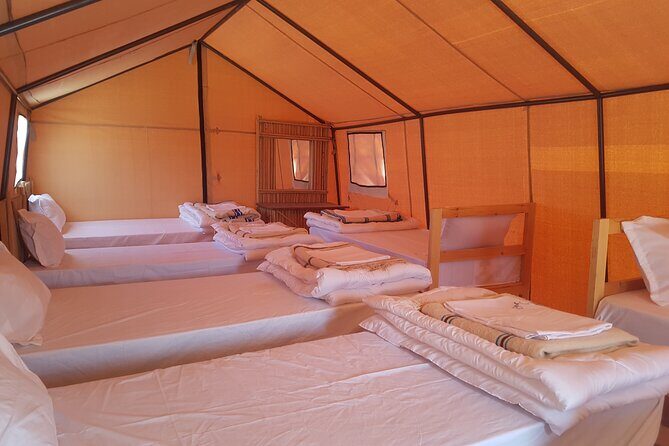 2-Day Tunisia Sahara Desert Camel Trek from Douz - Key Points  