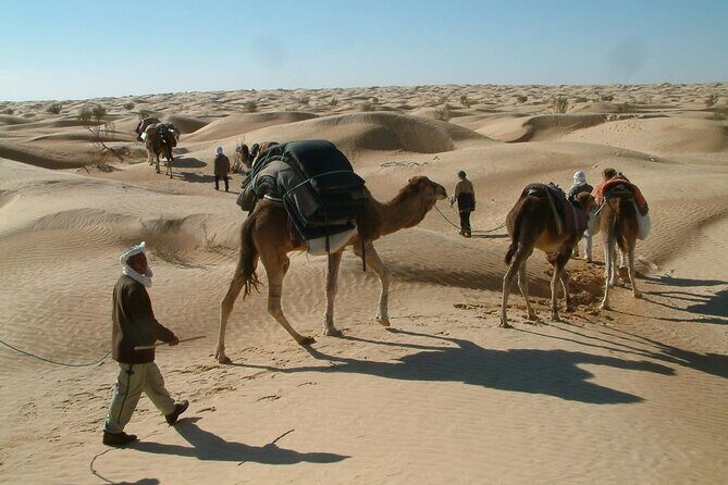 2-Day Tunisian Sahara Tour with Food & Stay from Hammamet - A Close Look at the Itinerary and Highlights