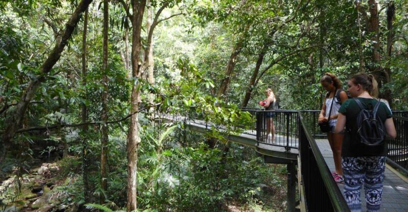 2-Day Waterfall and Daintree Tour - What to Expect on the 2-Day Waterfall and Daintree Tour