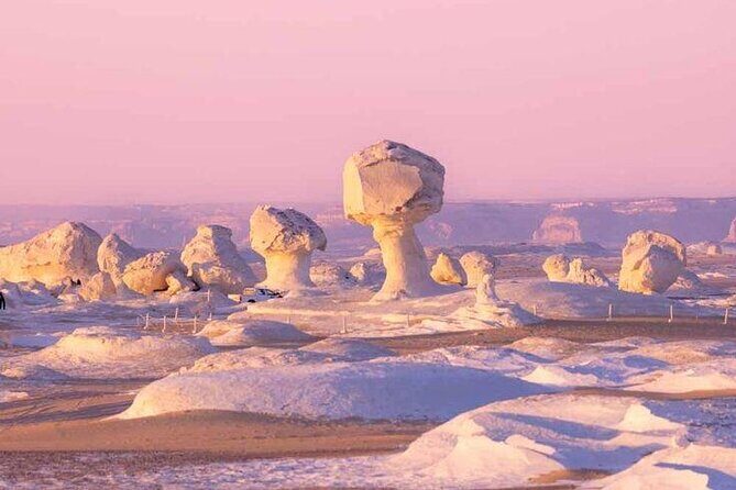 2-Day White & Black Desert and Oasis Tour from Cairo with Camping - An In-Depth Look at the Itinerary  