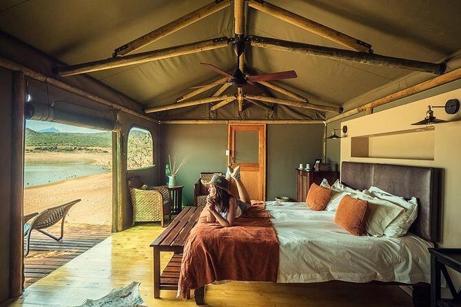 2 Day Wild Heart Western Cape Safari Tour with Private Transfers - Practical Tips